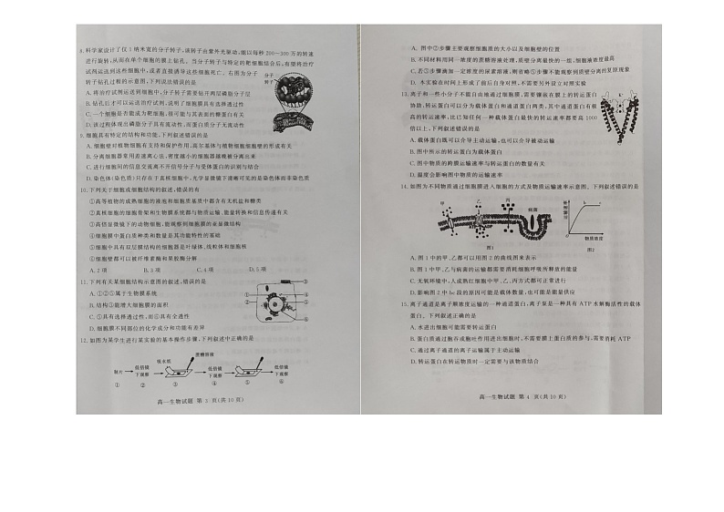 山东省聊城市2022-2023学年高一生物上学期期中联考试题（Word版附答案）02