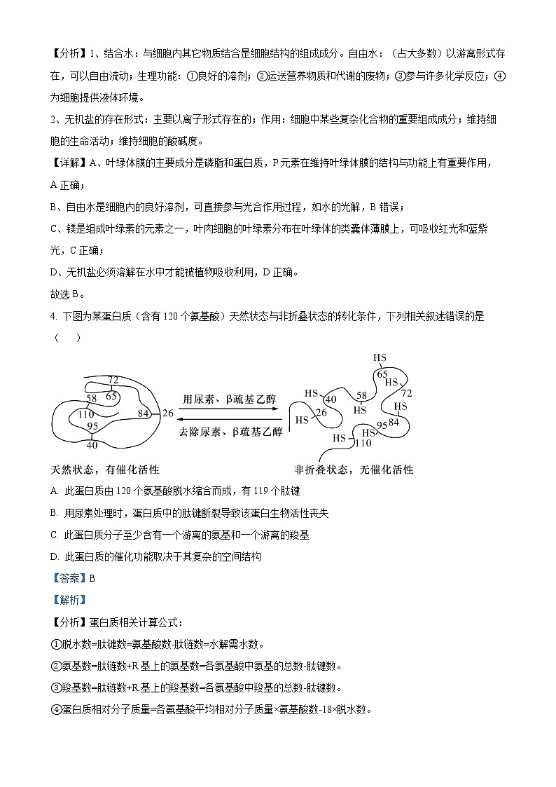 湖南师范大学附属中学2021-2022学年高一生物上学期期末考试试卷（Word版附解析）第3页