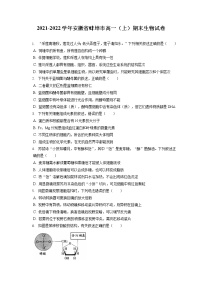 2021-2022学年安徽省蚌埠市高一（上）期末生物试卷（含答案解析）