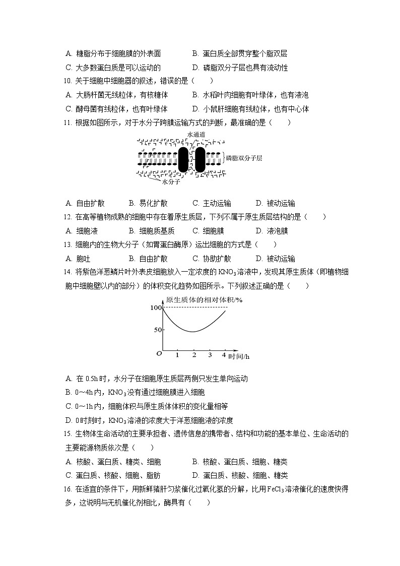 2021-2022学年北京市昌平区新学道临川学校高一（上）期末生物试卷（含答案解析）第2页