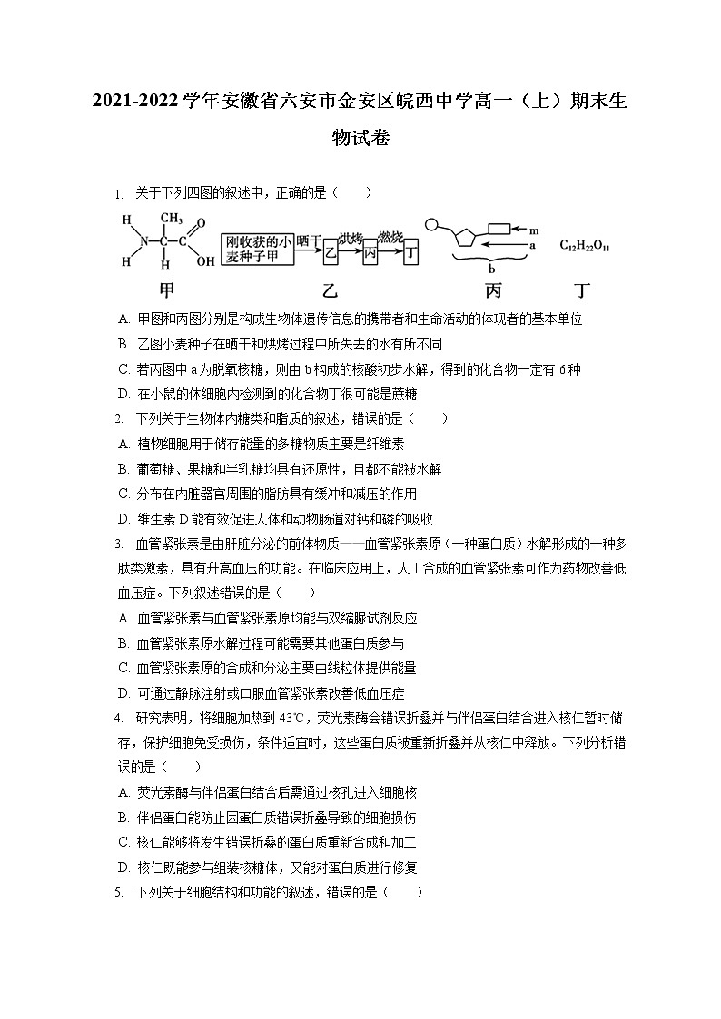 2021-2022学年安徽省六安市金安区皖西中学高一（上）期末生物试卷（含答案解析）第1页