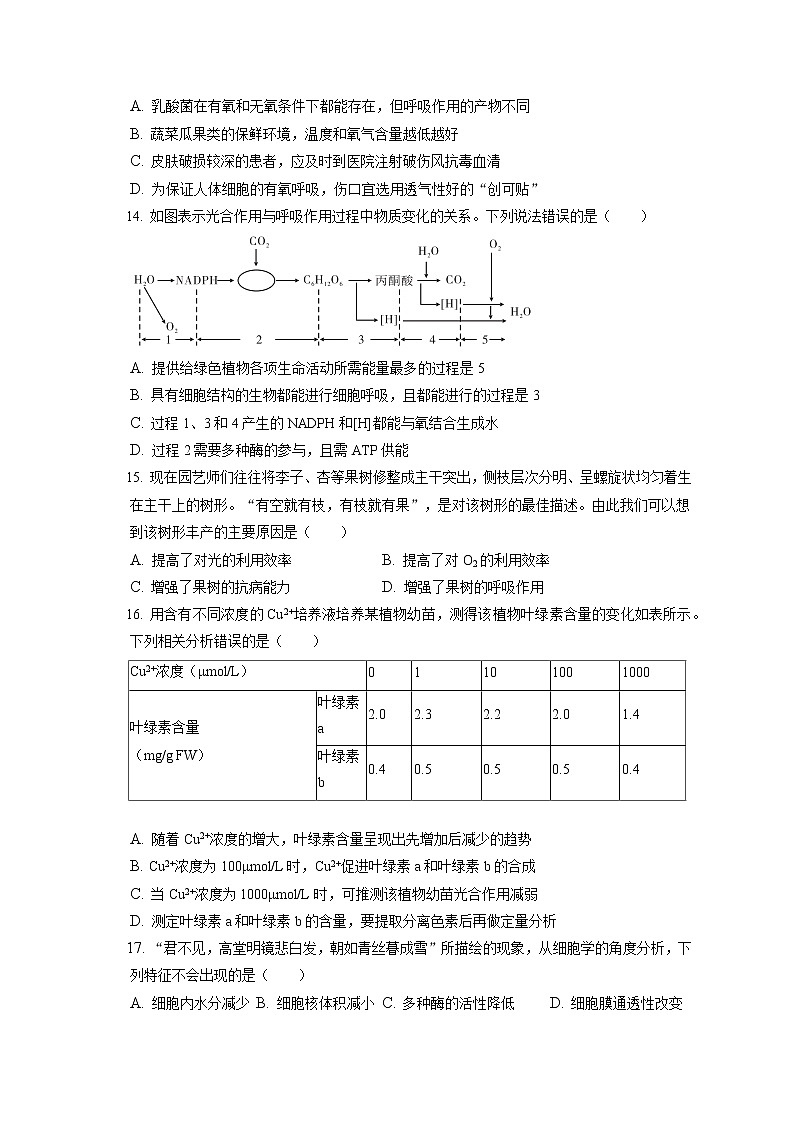 2021-2022学年安徽省亳州市涡阳九中高一（上）期末生物试卷（含答案解析）第3页