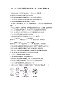 2021-2022学年安徽省池州市高一（上）期末生物试卷（含答案解析）