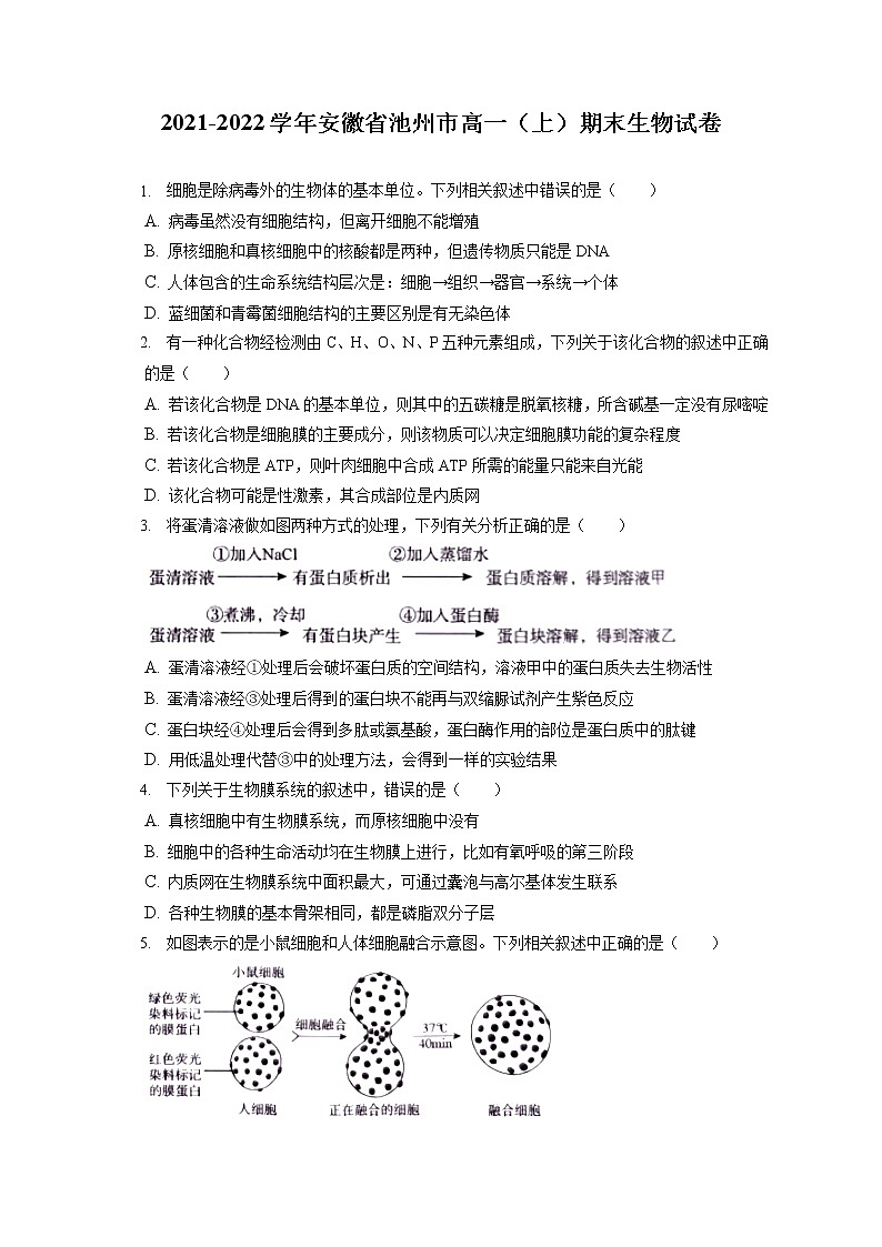2021-2022学年安徽省池州市高一（上）期末生物试卷（含答案解析）第1页