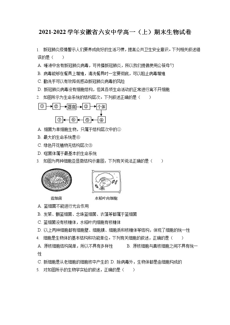 2021-2022学年安徽省六安中学高一（上）期末生物试卷（含答案解析）01