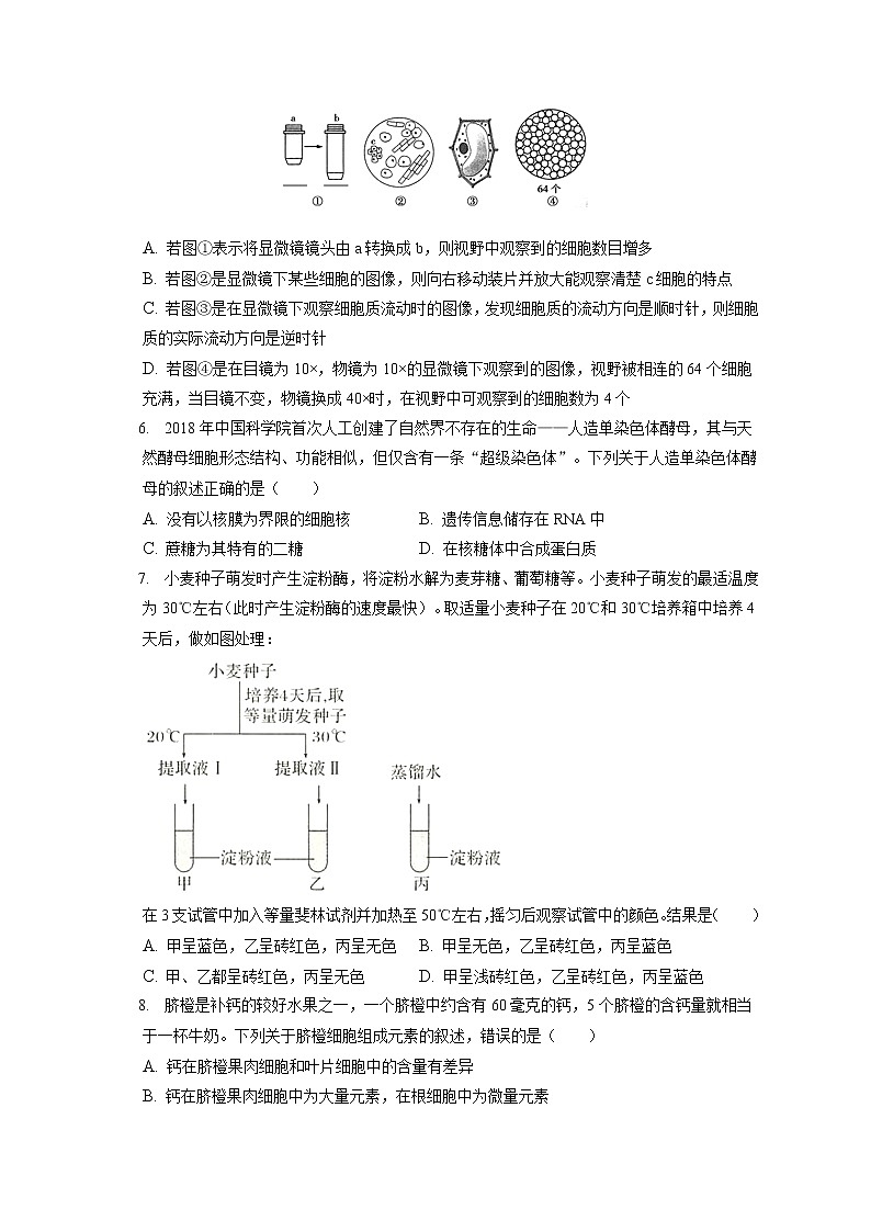 2021-2022学年安徽省六安中学高一（上）期末生物试卷（含答案解析）02