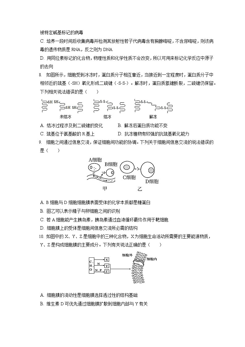 2021-2022学年安徽省亳州市黉学高级中学高一（上）期末生物试卷（含答案解析）第3页