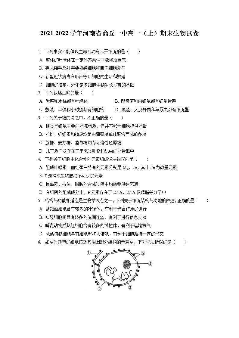 2021-2022学年河南省商丘一中高一（上）期末生物试卷（含答案解析）01