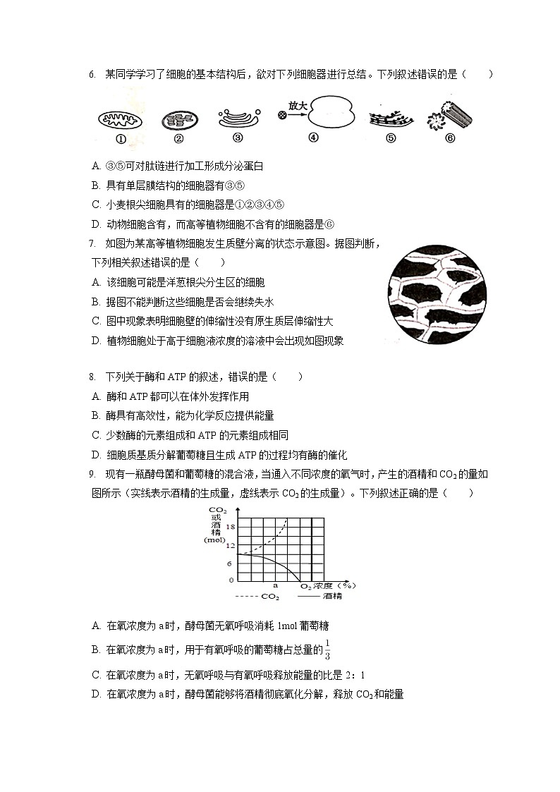 2021-2022学年河北省沧州市高一（上）期末生物试卷（含答案解析）第2页