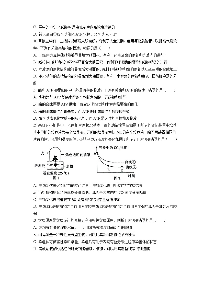 2021-2022学年河北省保定市定州市高一（上）期末生物试卷（含答案解析）03
