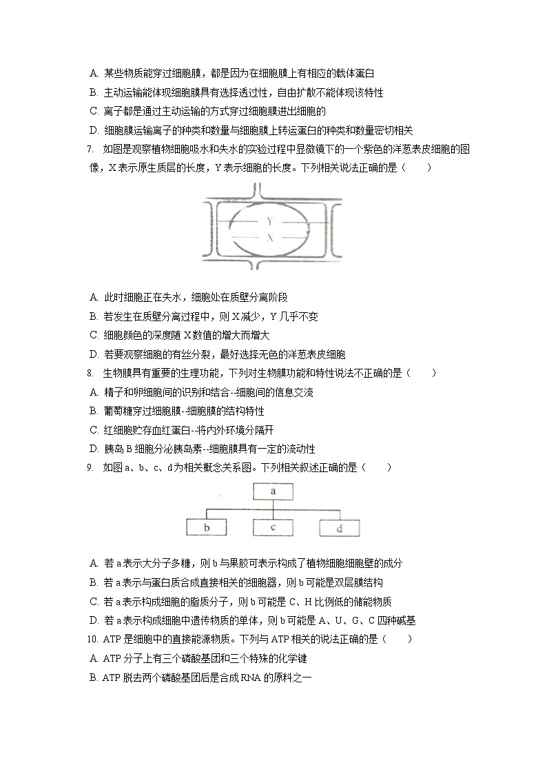 2021-2022学年河南省信阳市高一（上）期末生物试卷（含答案解析）02