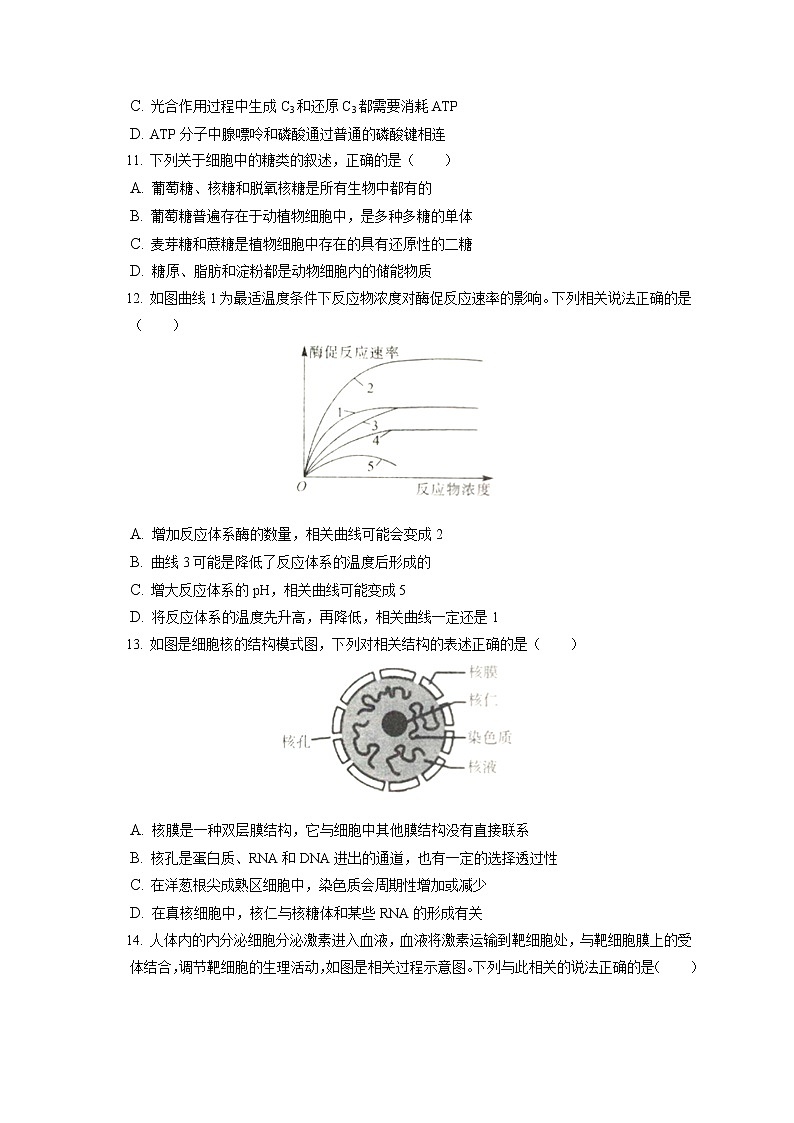 2021-2022学年河南省信阳市高一（上）期末生物试卷（含答案解析）03