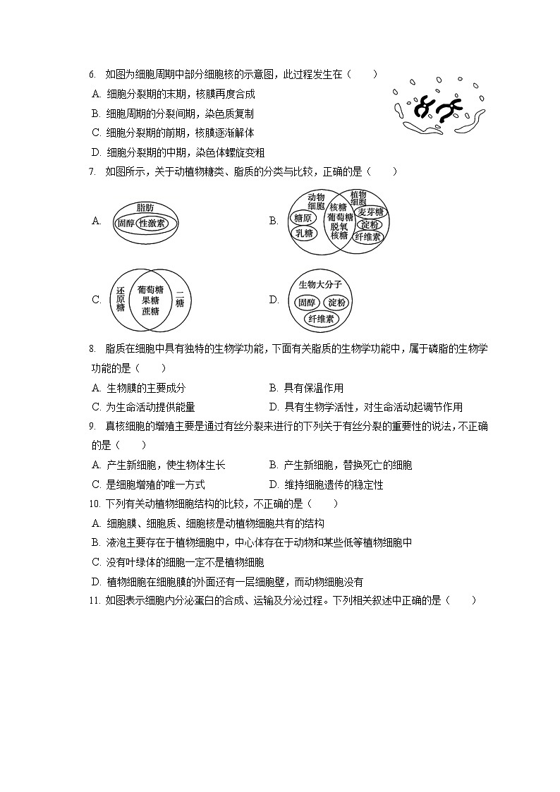 2021-2022学年福建省莆田十五中高一（上）期末生物试卷（含答案解析）第2页