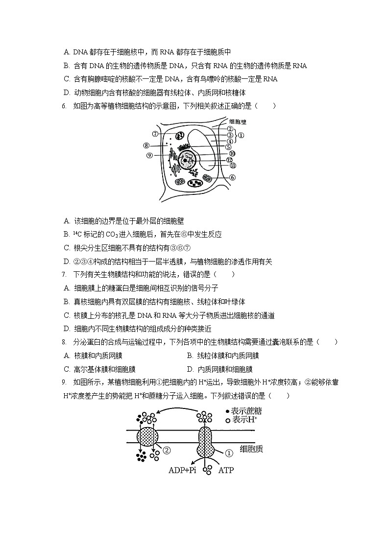 2021-2022学年河北省邢台市高一（上）期末生物试卷（含答案解析）02