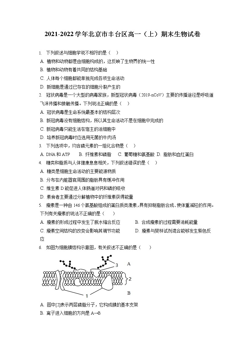 2021-2022学年北京市丰台区高一（上）期末生物试卷（含答案解析）01