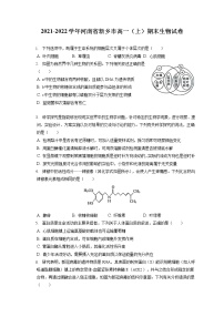 2021-2022学年河南省新乡市高一（上）期末生物试卷（含答案解析）