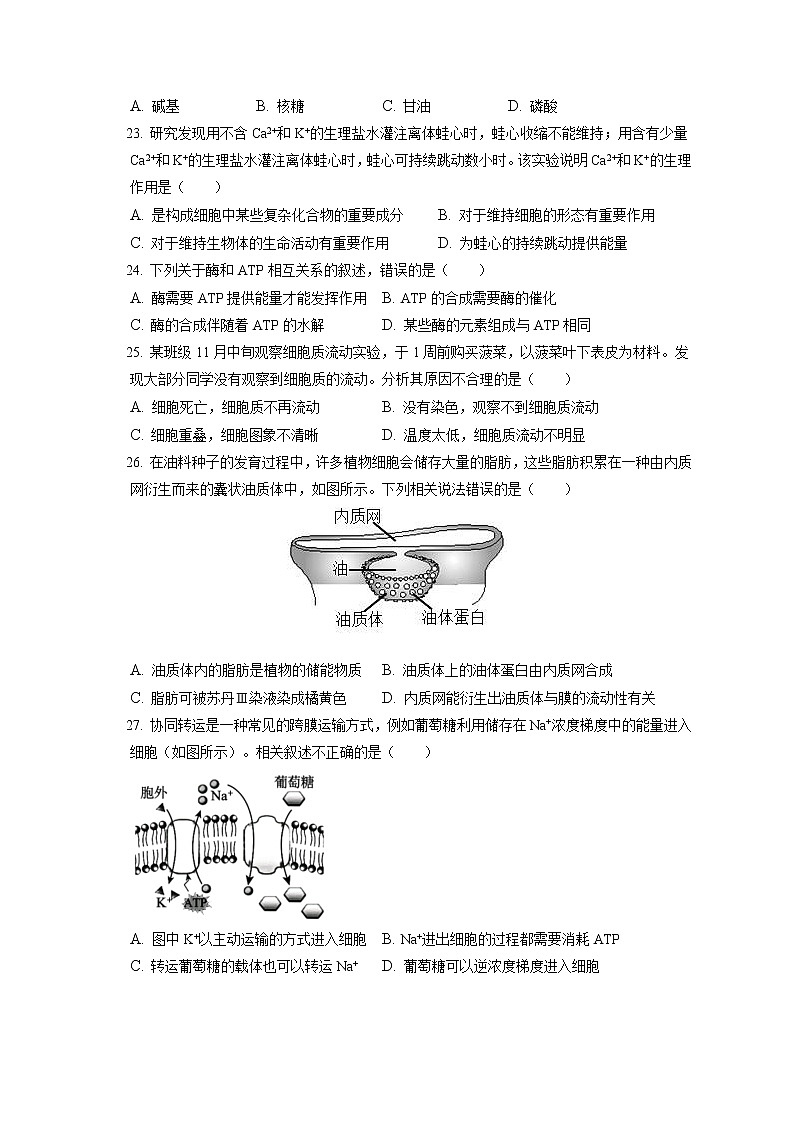 2021-2022学年北京市延庆区高一（上）期末生物试卷（含答案解析）第3页