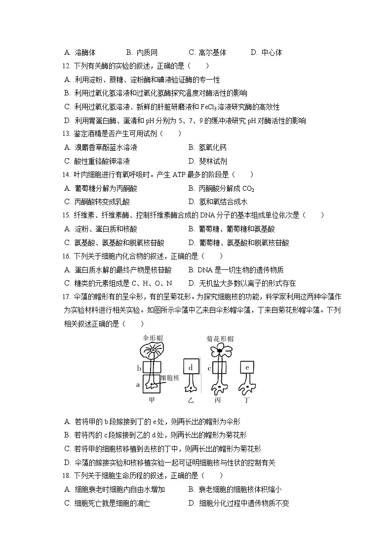 2021-2022学年福建省莆田市仙游县枫亭中学高一（上）期末生物试卷（含答案解析）第2页
