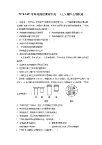 2021-2022学年河南省漯河市高一（上）期末生物试卷（含答案解析）