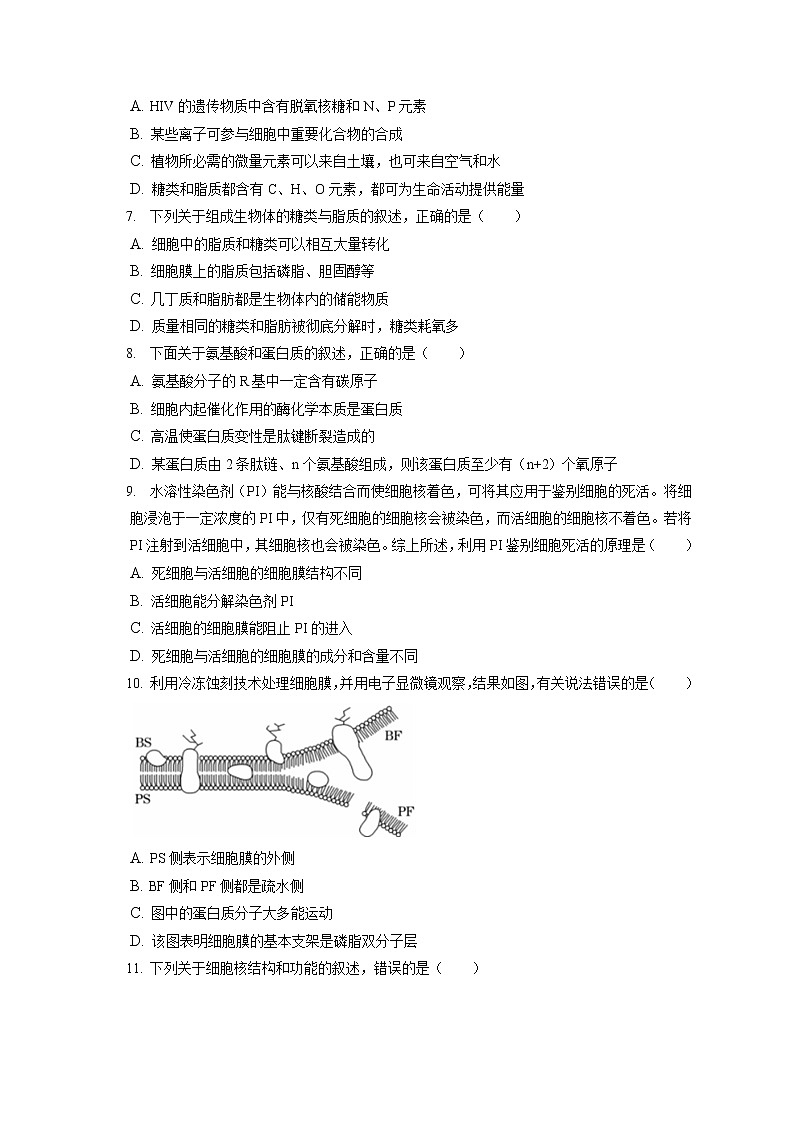 2021-2022学年河南省漯河市高一（上）期末生物试卷（含答案解析）第2页