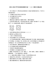 2021-2022学年河南省南阳市高一（上）期末生物试卷（含答案解析）