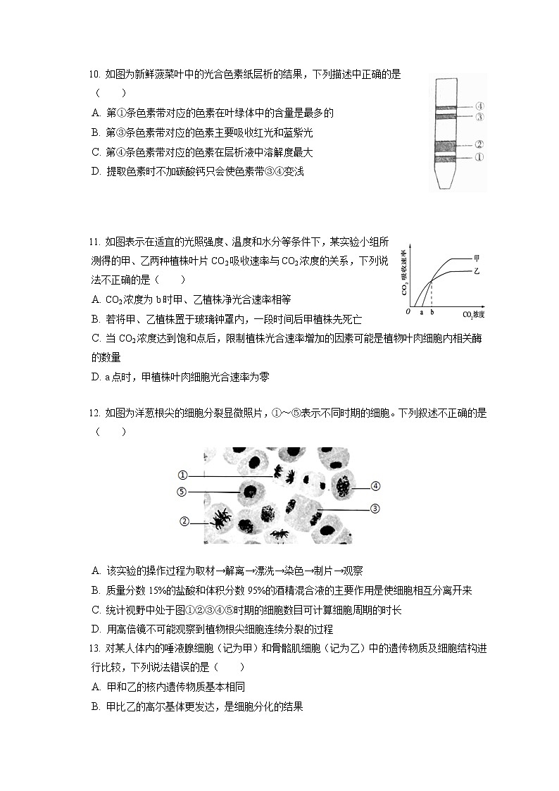 2021-2022学年辽宁省协作校高一（上）期末生物试卷（含答案解析）第3页