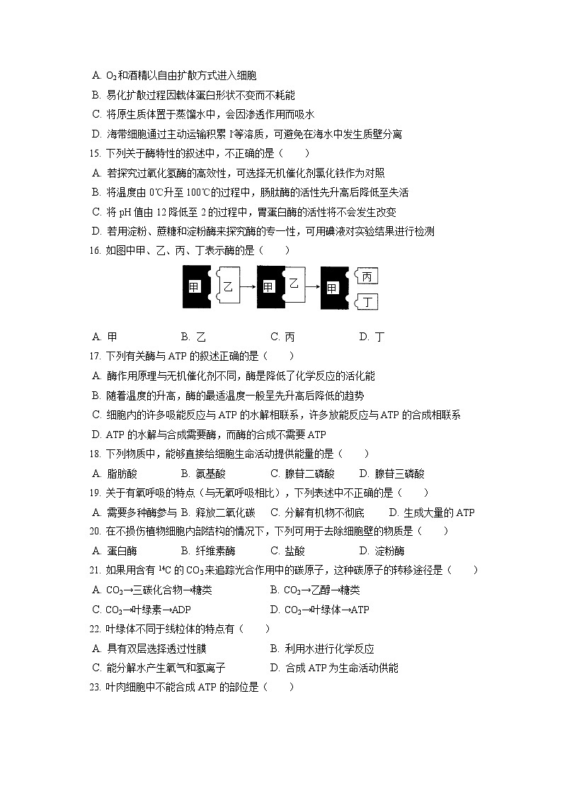 2021-2022学年吉林省长春市农安县高一（上）期末生物试卷（含答案解析）03