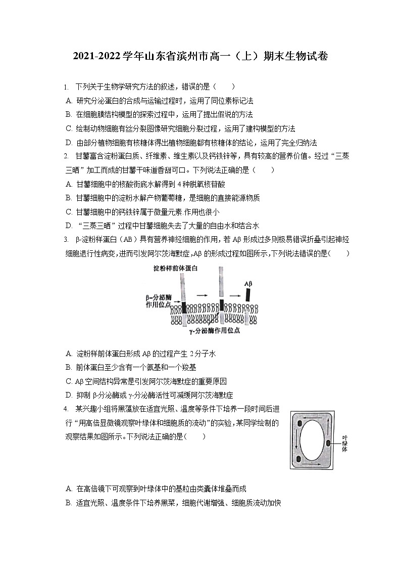 2021-2022学年山东省滨州市高一（上）期末生物试卷（含答案解析）01