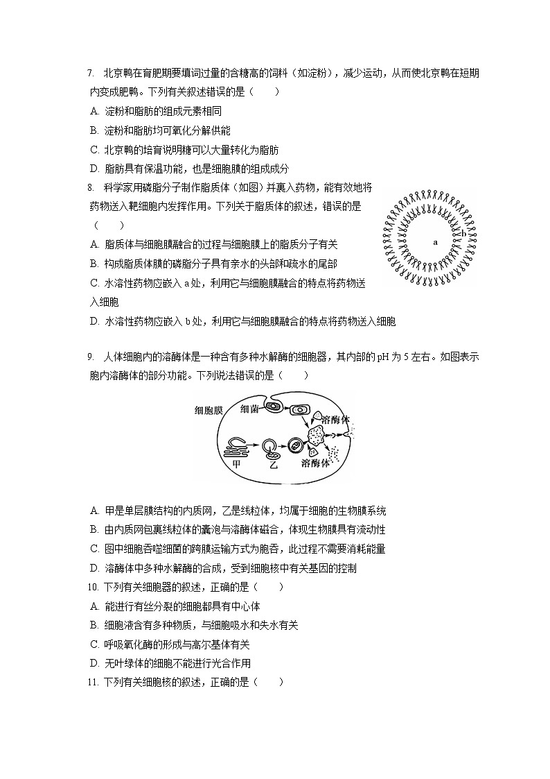2021-2022学年山西省名校高一（上）期末生物试卷（含答案解析）第2页