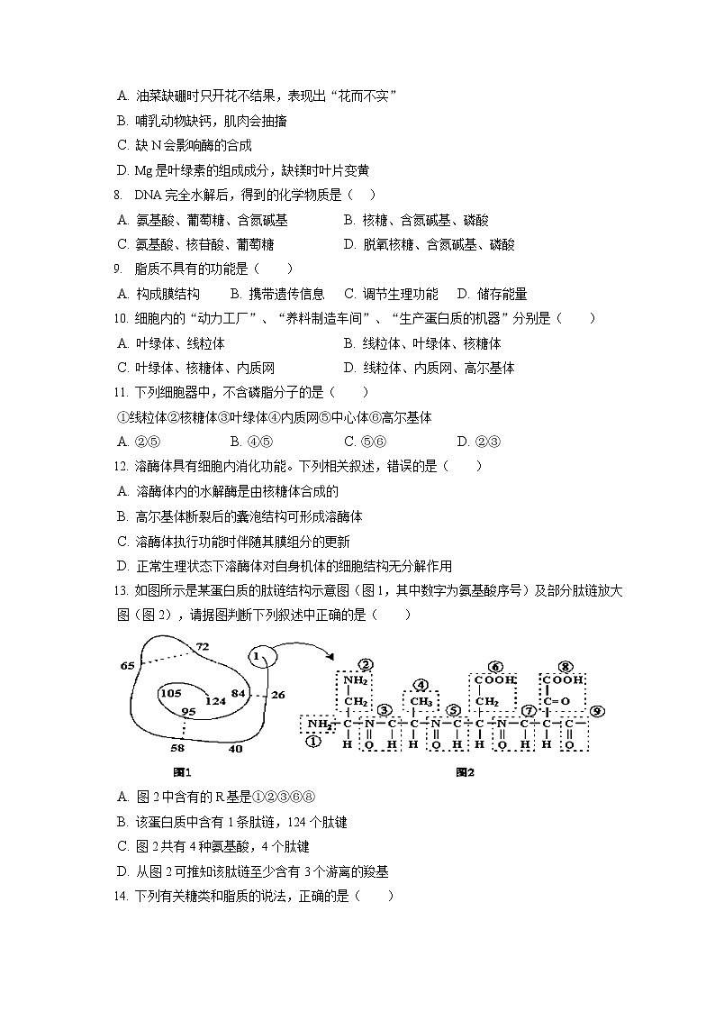 2021-2022学年吉林省松原市乾安七中高一（上）期末生物试卷（含答案解析）02