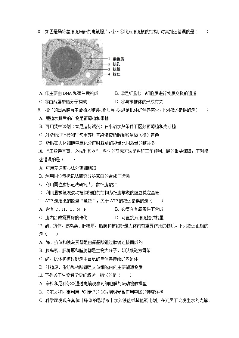 2021-2022学年浙江省宁波市高一（上）期末生物试卷（含答案解析）第2页
