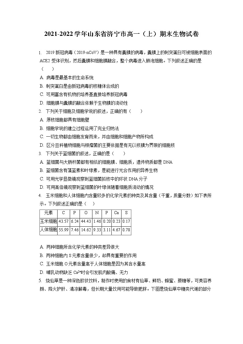 2021-2022学年山东省济宁市高一（上）期末生物试卷（含答案解析）01