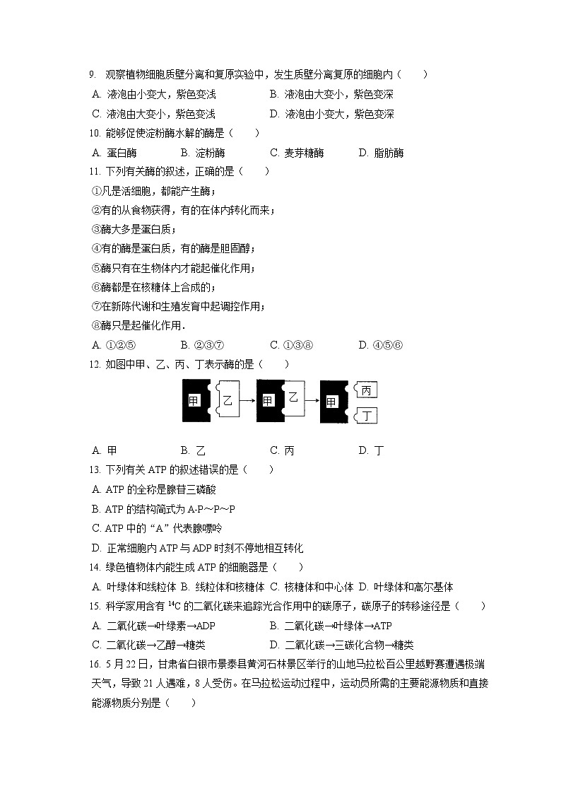 2021-2022学年吉林省松原市油田十一中高一（上）期末生物试卷（含答案解析）第2页