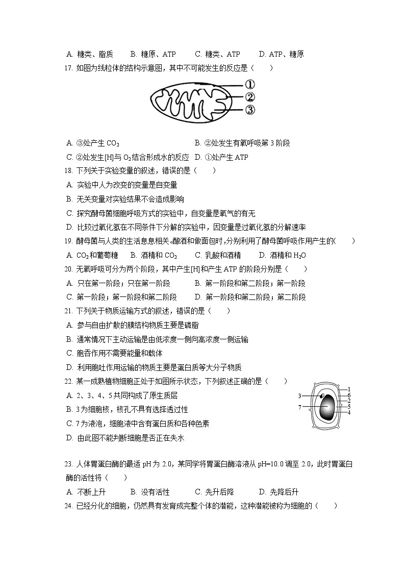 2021-2022学年吉林省松原市油田十一中高一（上）期末生物试卷（含答案解析）第3页