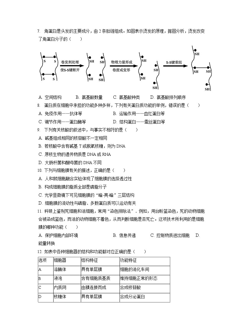 2021-2022学年山西省朔州市怀仁市高一（上）期末生物试卷（含答案解析）02