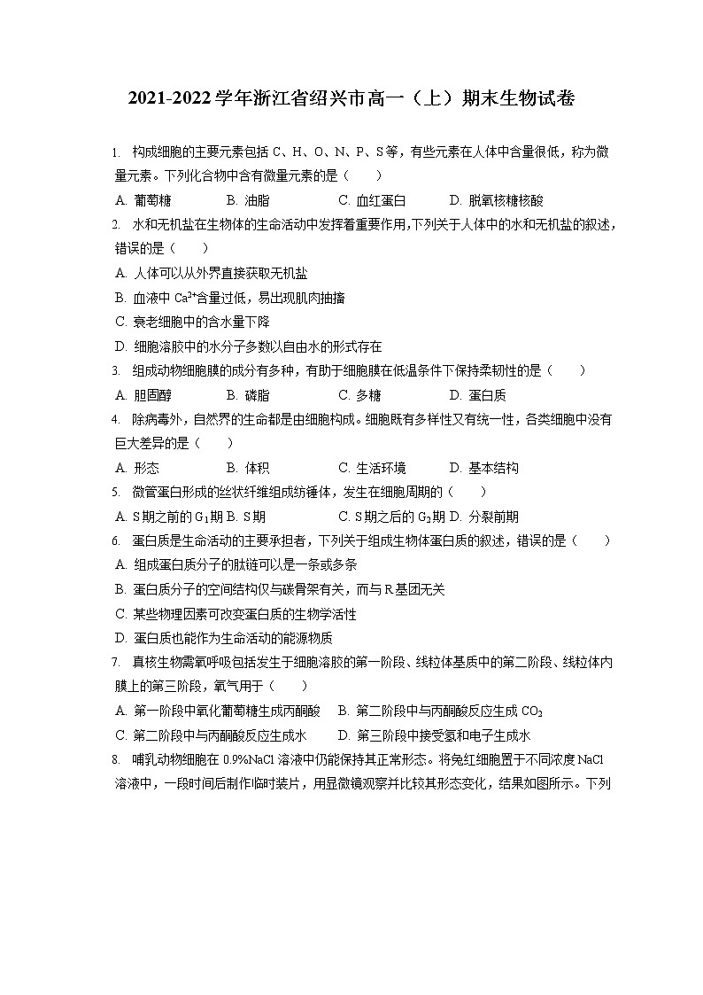 2021-2022学年浙江省绍兴市高一（上）期末生物试卷（含答案解析）01