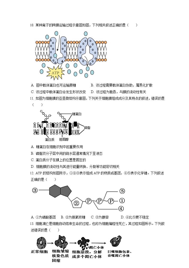 2021-2022学年浙江省绍兴市高一（上）期末生物试卷（含答案解析）03