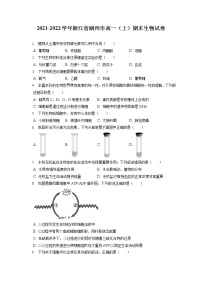 2021-2022学年浙江省湖州市高一（上）期末生物试卷（含答案解析）