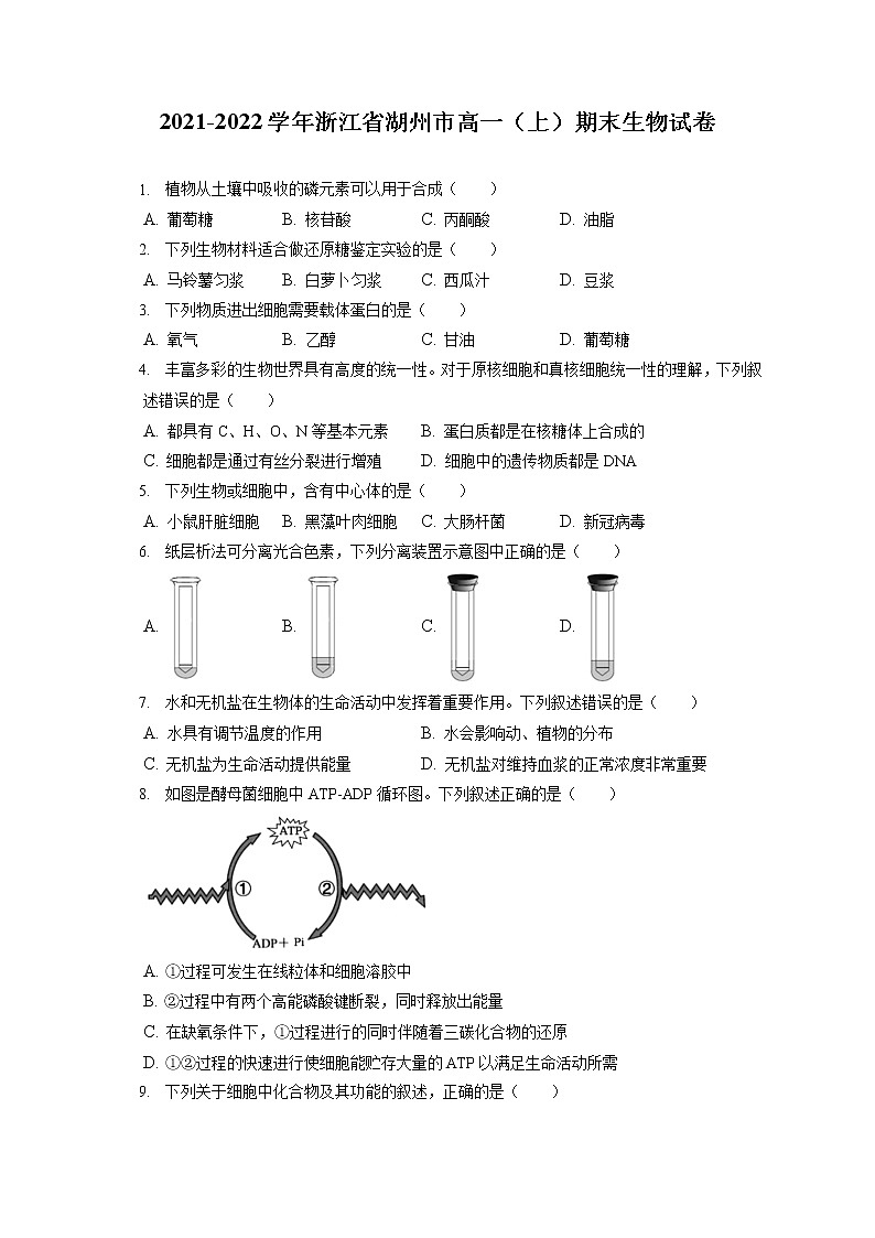2021-2022学年浙江省湖州市高一（上）期末生物试卷（含答案解析）第1页