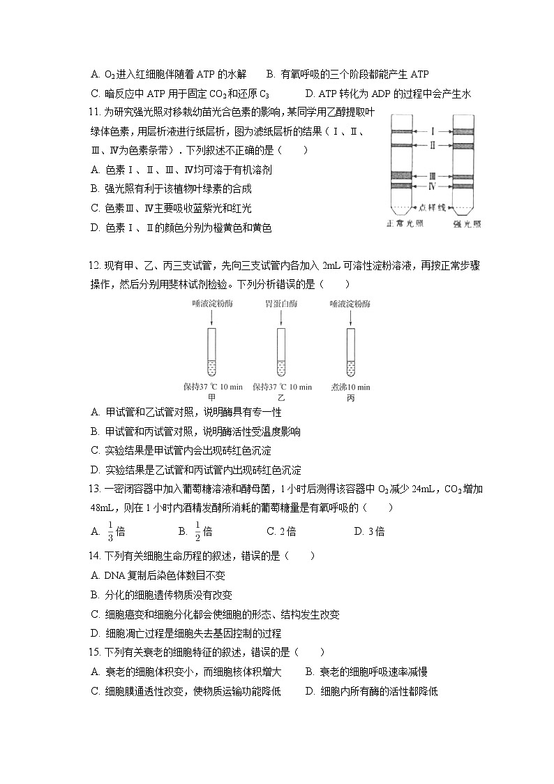 2021-2022学年辽宁省县级重点高中高一（上）期末生物试卷（含答案解析）03