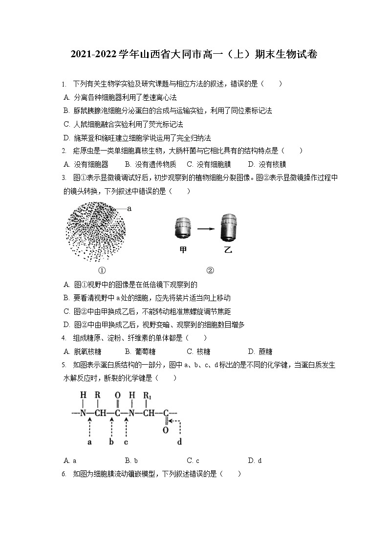 2021-2022学年山西省大同市高一（上）期末生物试卷（含答案解析）01