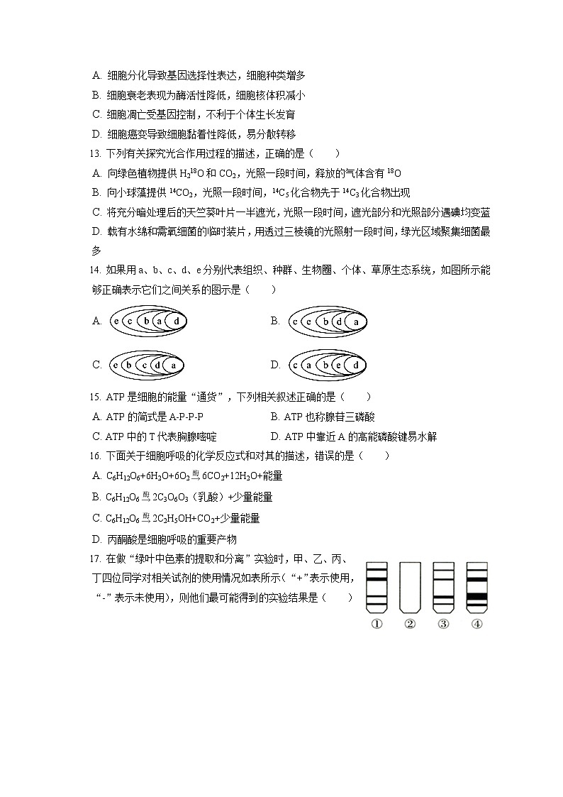 2021-2022学年山西省大同市高一（上）期末生物试卷（含答案解析）03