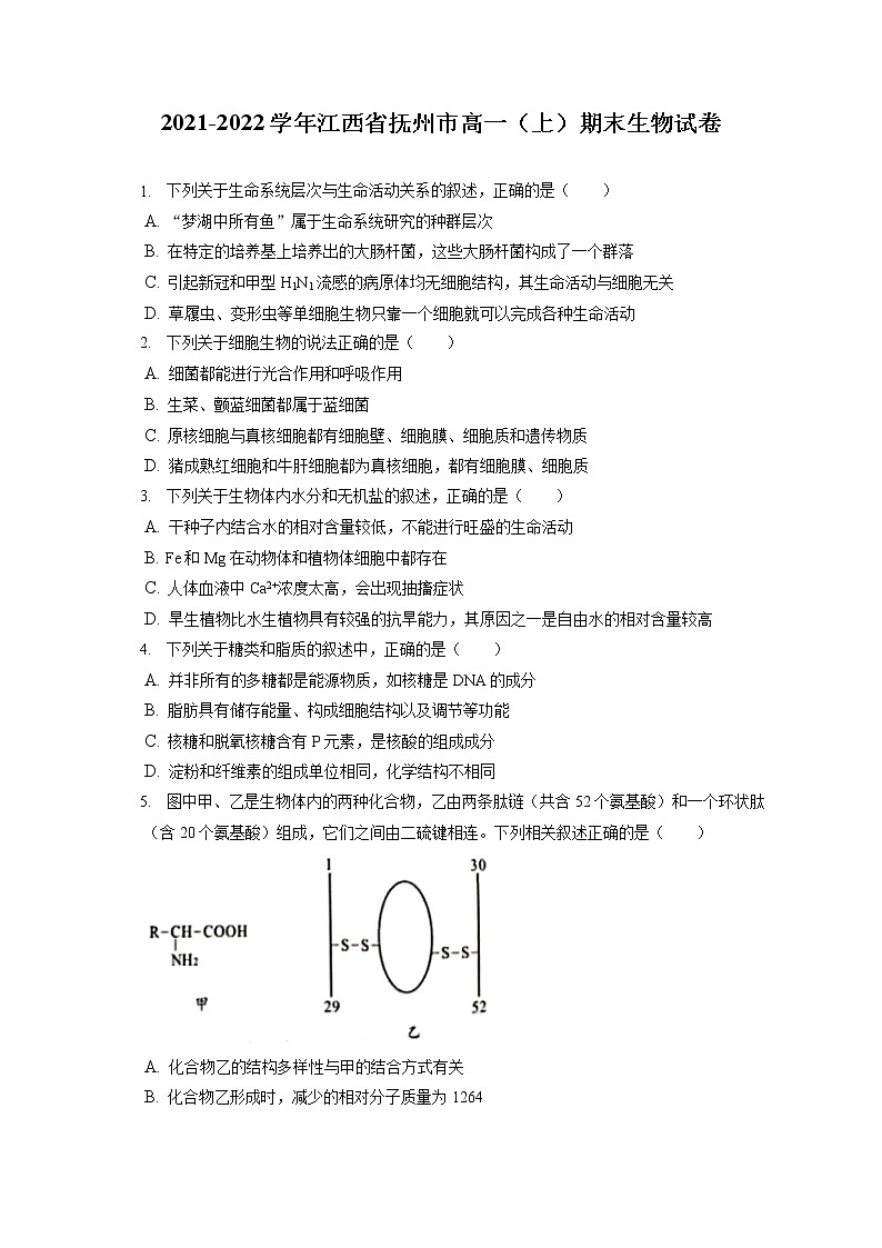 2021-2022学年江西省抚州市高一（上）期末生物试卷（含答案解析）01