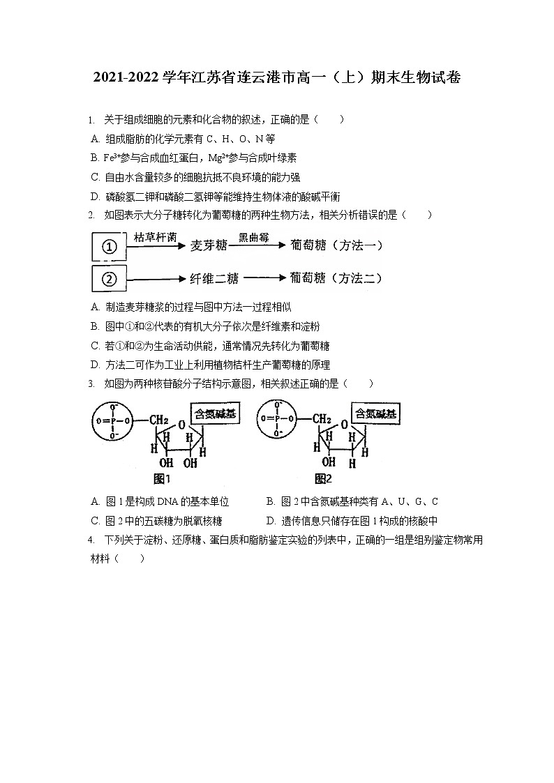 2021-2022学年江苏省连云港市高一（上）期末生物试卷（含答案解析）01