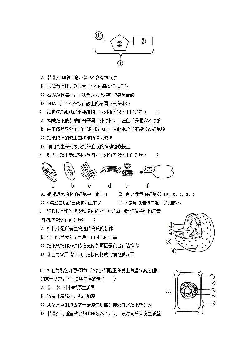 2021-2022学年山西省吕梁市孝义市高一（上）期末生物试卷（含答案解析）第2页