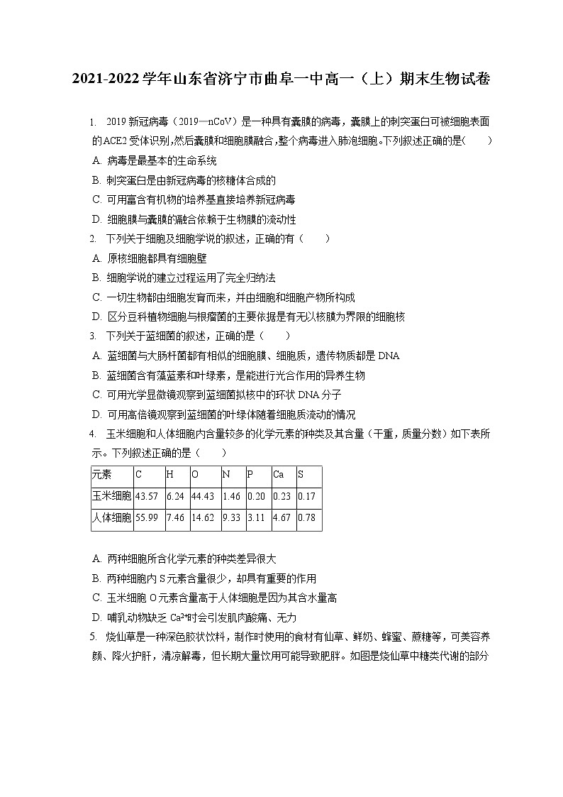 2021-2022学年山东省济宁市曲阜一中高一（上）期末生物试卷（含答案解析）第1页