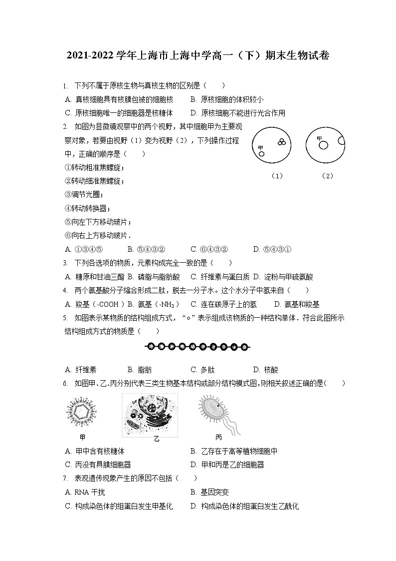 2021-2022学年上海市上海中学高一（下）期末生物试卷（含答案解析）01