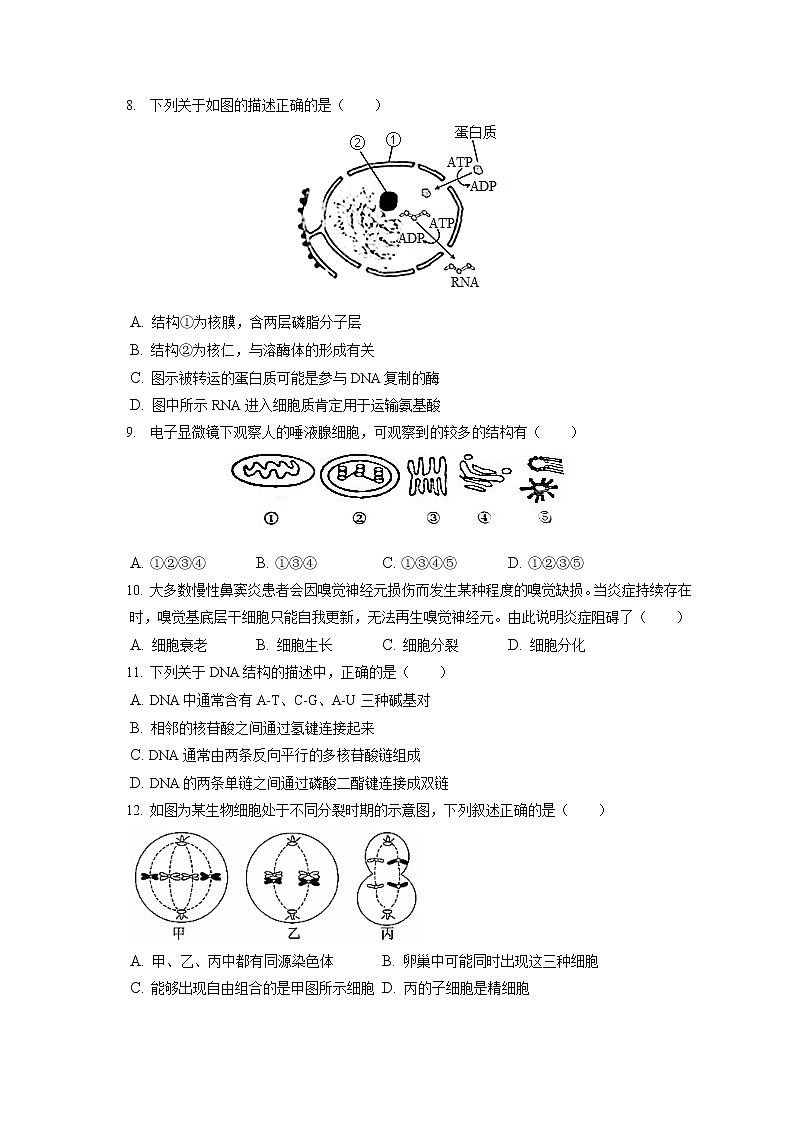 2021-2022学年上海市上海中学高一（下）期末生物试卷（含答案解析）02