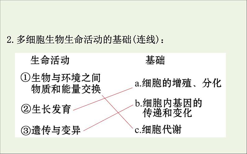 高中生物2020届高考生物一轮复习1.1走近细胞课件第5页