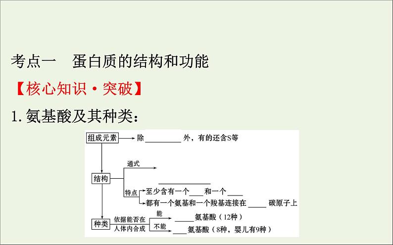 高中生物2020届高考生物一轮复习1.3生命活动的主要承担者__蛋白质课件第4页